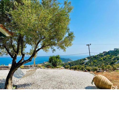 Horizon Villa