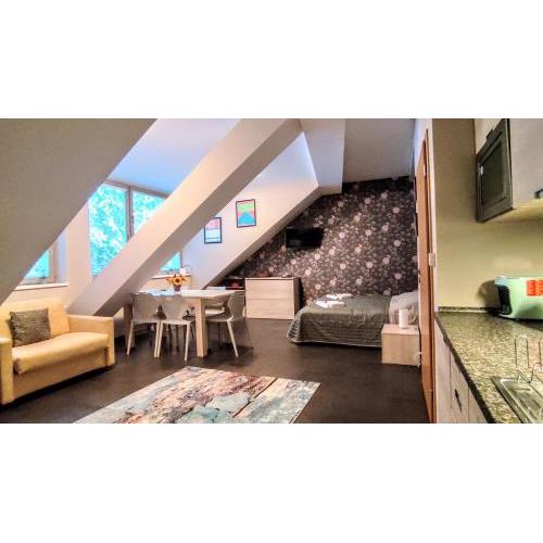 Horský apartmán 1+KK v relaxačním prostředí Anenského údolí