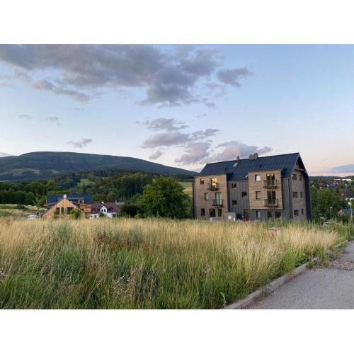 Horský apartmán Černý Důl