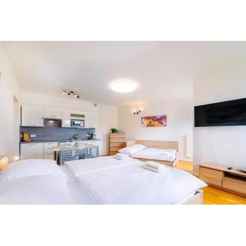 Horský apartmán Temari 12 Klínovec