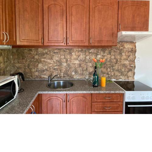 Horský apartmán v Karlovicích (Karlovický dvůr)