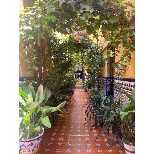 Hostal Atenas