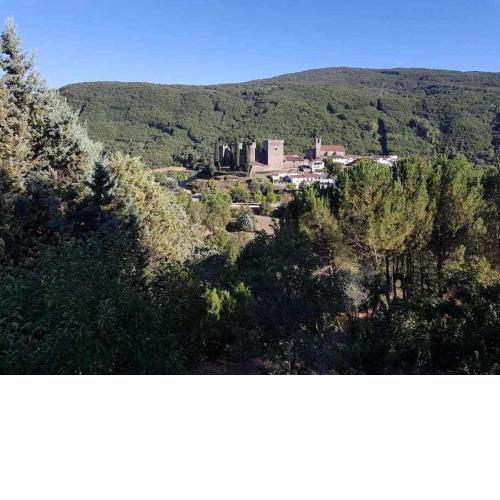 Hostal Montemayor