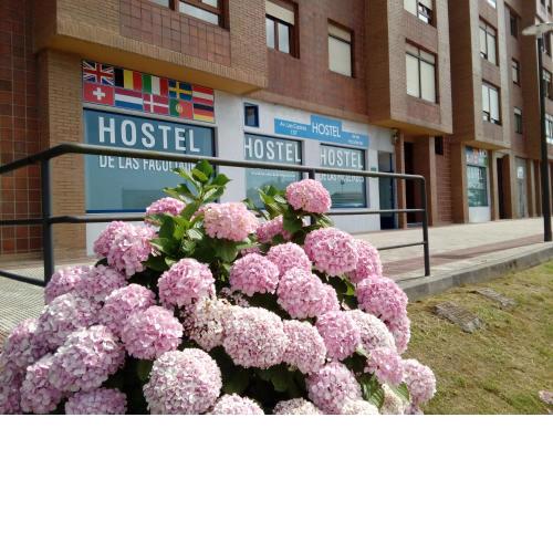Hostel de las Facultades