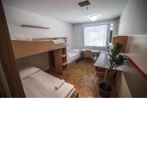 Hostel DIC