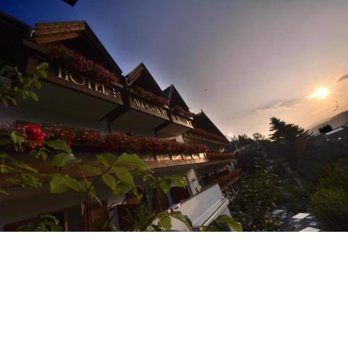 Hotel Alpenhof