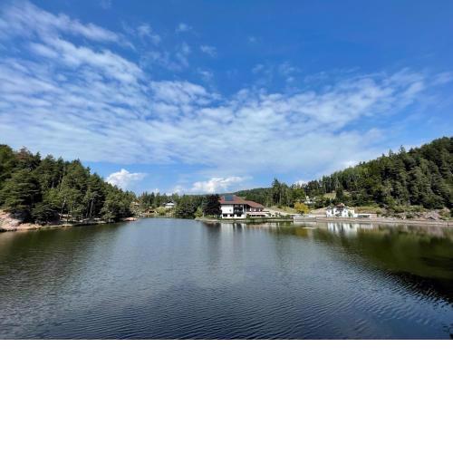 Hotel Am Wolfgrubenersee