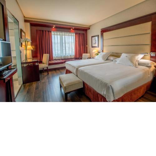 Hotel Andalucía Center
