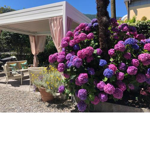 Hotel Antica Stallera