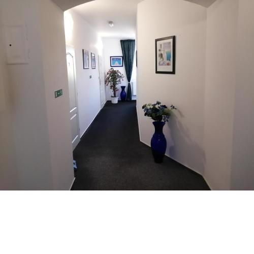 Hotel Apartmen Faraon 1