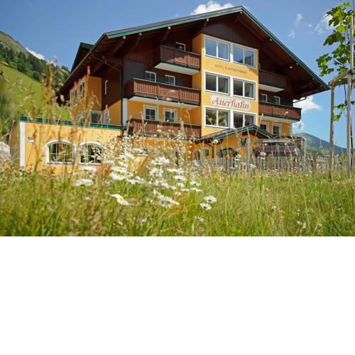 Hotel & Appartement Auerhahn
