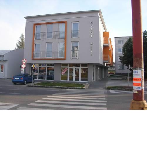 Hotel Arli