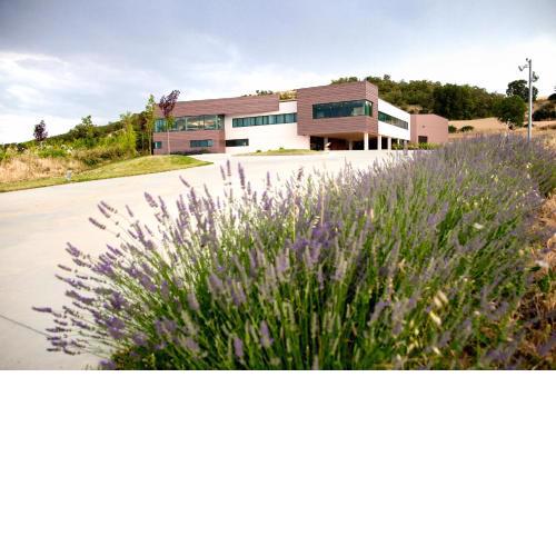 Hotel Bodegas Traslascuestas
