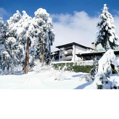 Hotel Bor