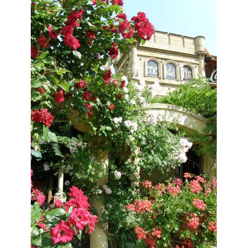 Hotel Bow Garden