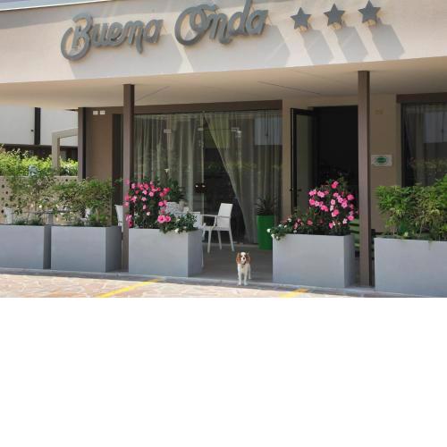 Hotel Buena Onda