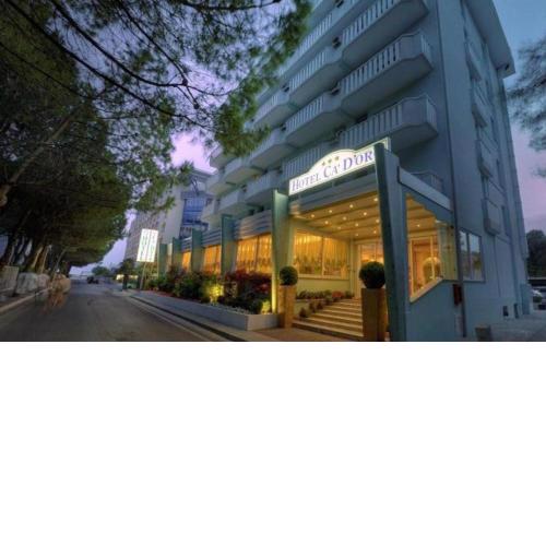 Hotel Ca' D'Oro