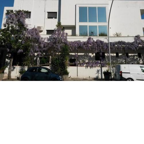 Hotel Calla'