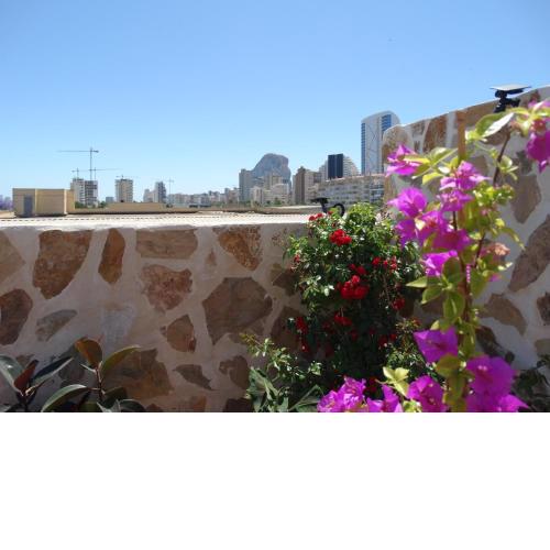 Hotel Calpe