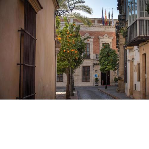 Hotel Casa Palacio María Luisa