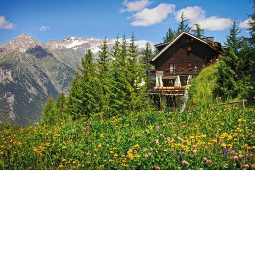 Hotel Chalet Il Capricorno