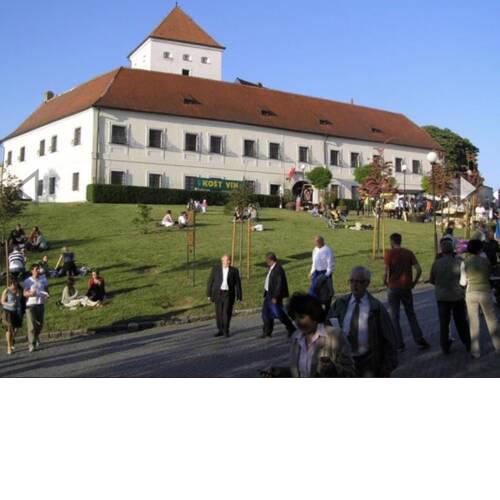 HOTEL CHATEAU ZAMEK CEJKOVICE