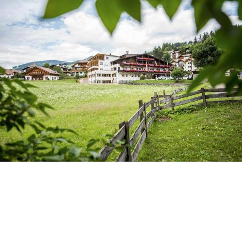 Hotel Condor