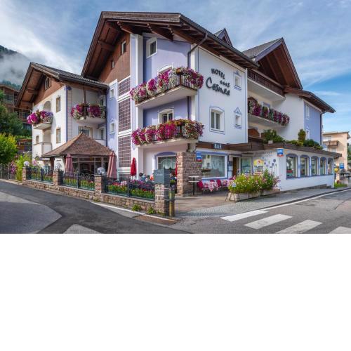 Hotel Cosmea