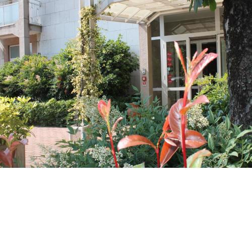 Hotel Cremona Viale