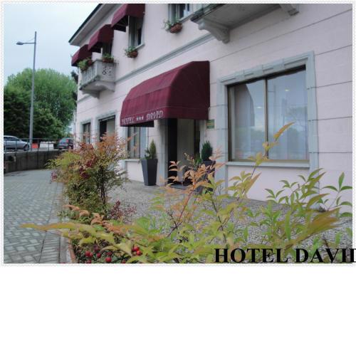 Hotel David