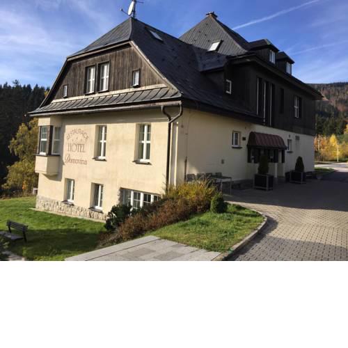 Hotel Domovina