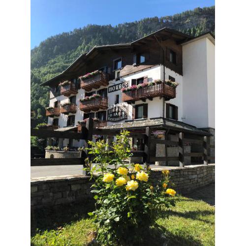 Hotel Edelweiss
