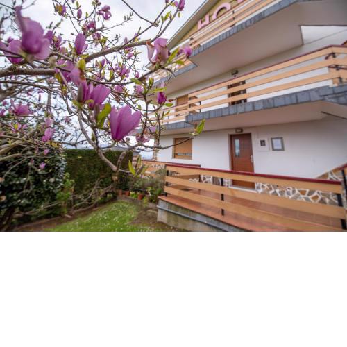 Hotel el Pinar