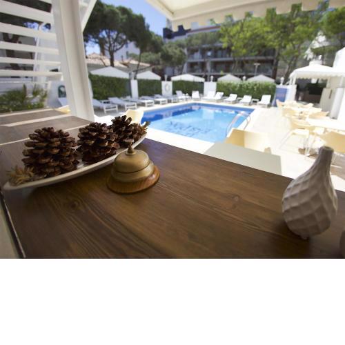 Hotel Els Pins
