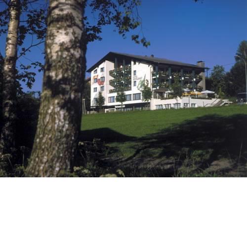 Hotel Engel
