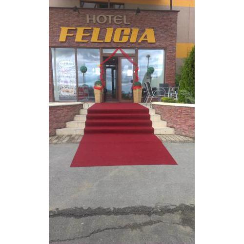 Hotel Felicia