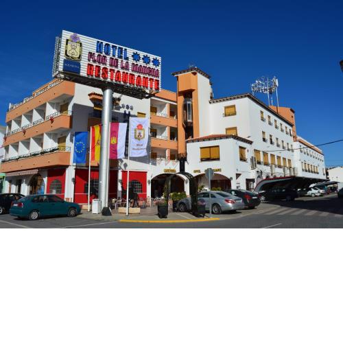 Hotel Flor de la Mancha