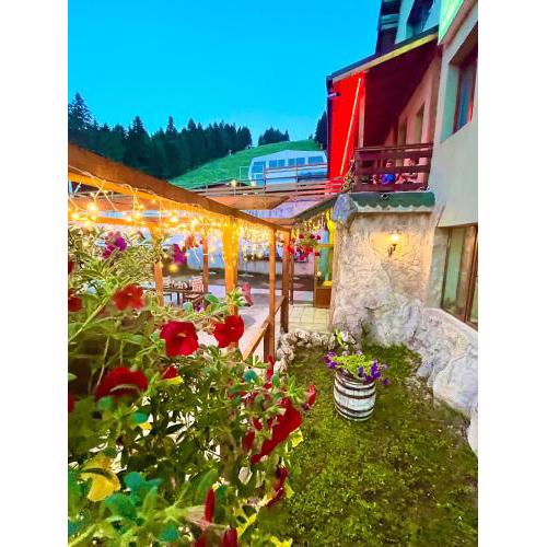 Hotel Forest Star on the Ski Slope
