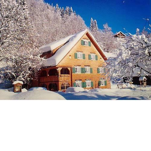 Hotel Gasthaus Schäfle