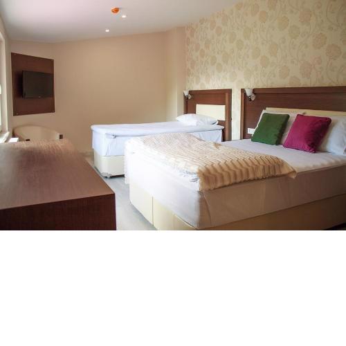 Hotel Green Valley Savsat