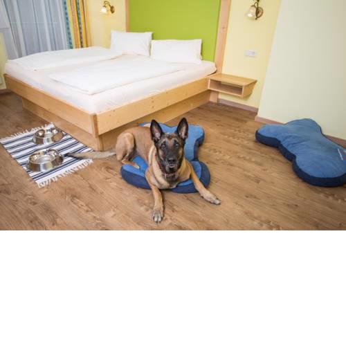 Hotel Grimming Dogs and Friends