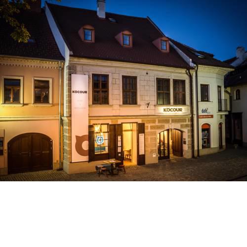 Hotel Kocour