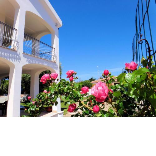 Hotel La Tartaruga Bianca