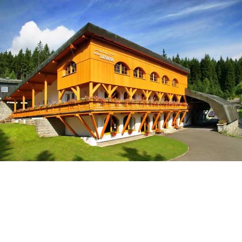 Hotel Lesana