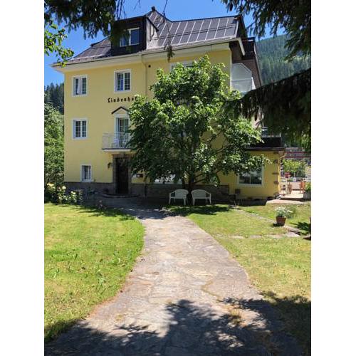 Hotel Lindenhof
