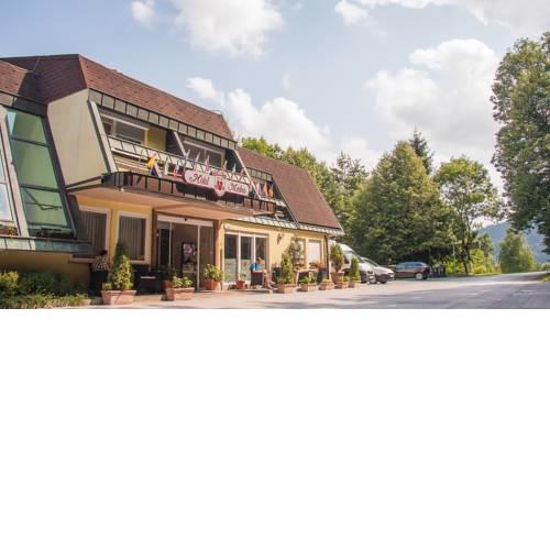 Hotel Medno