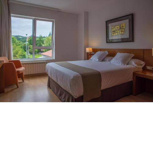 Hotel Miera