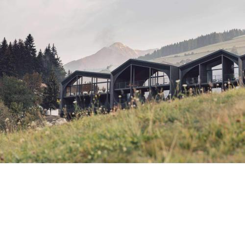 Hotel Milla Montis