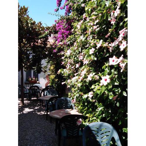 Hotel Mitus