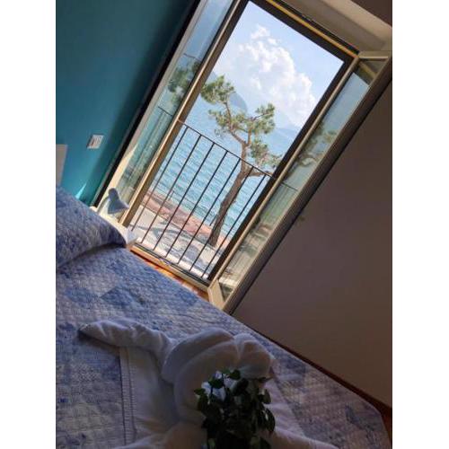 Hotel Mojito
